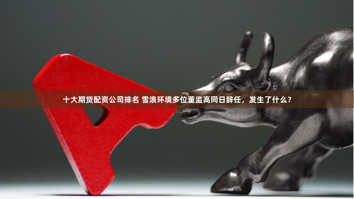 十大期货配资公司排名 雪浪环境多位董监高同日辞任，发生了什么？