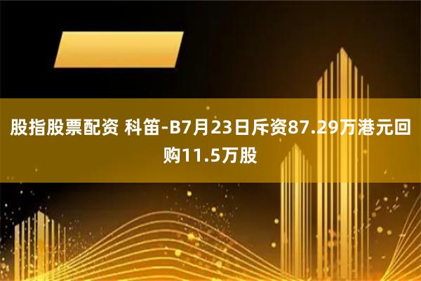 股指股票配资 科笛-B7月23日斥资87.29万港元回购11.5万股