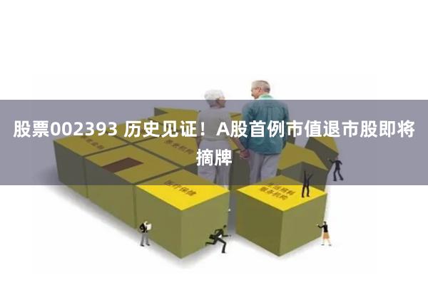 股票002393 历史见证！A股首例市值退市股即将摘牌